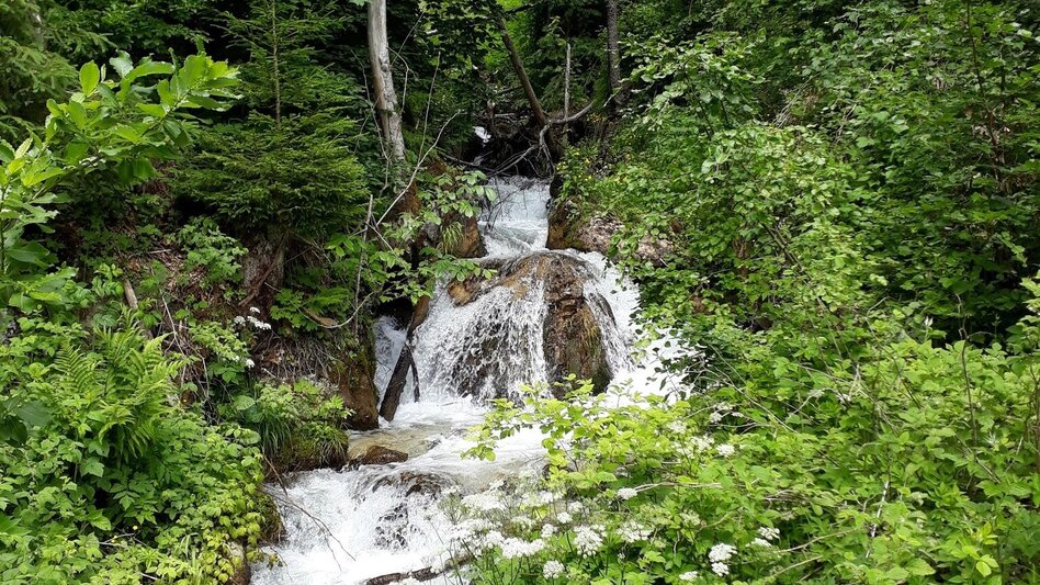 Hiking route Archaeology trail at Luserwasserfall - Touren-Impression #2.10 | © TVB Haus-Aich-Gössenberg