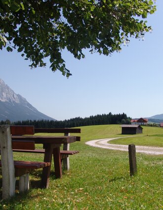 bewegungsarena - tipschern panoramarunde (sm 3)_img_58223020 | Schladming Dachstein - TVB Gröbminger Land | © Erlebnisregion Schladming-Dachstein