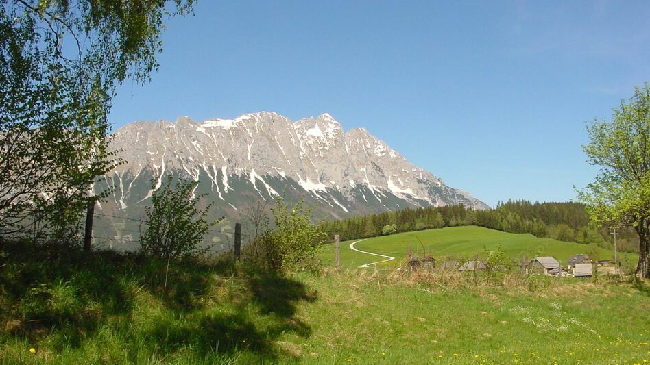 Nordic Walking Bewegungsarena - Eichleitenrunde (M 7) - Touren-Impression #2.1 | © Erlebnisregion Schladming-Dachstein