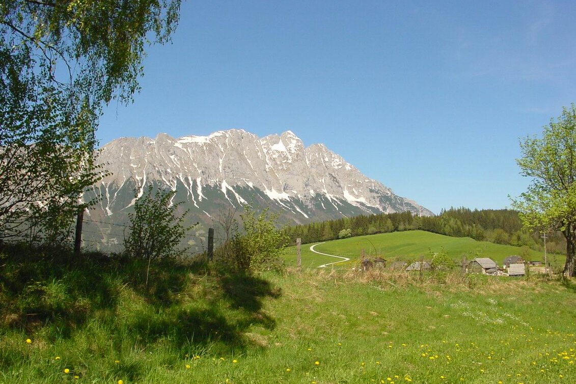 Nordic Walking Bewegungsarena - Eichleitenrunde (M 7) - Touren-Impression #1 | © Erlebnisregion Schladming-Dachstein