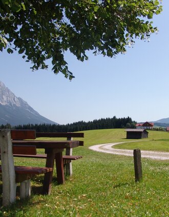 bewegungsarena - panoramarunde (m 5)_img_58223508 | Schladming Dachstein - TVB Gröbminger Land | © Erlebnisregion Schladming-Dachstein