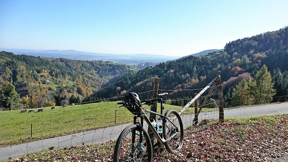 Mountain Biking Bad Schwanberg-St. Anna-Wirtbartl-Tour - Touren-Impression #2.1 | © Südsteiermark