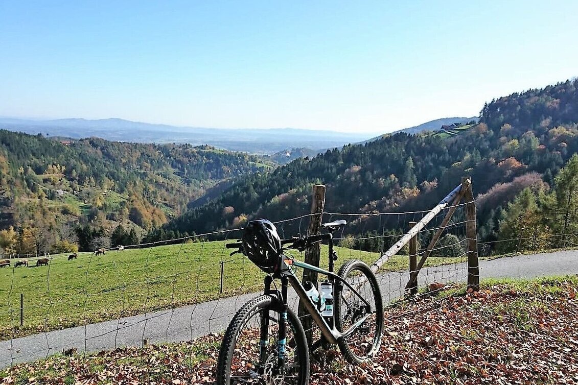 Mountain Biking Bad Schwanberg-St. Anna-Wirtbartl-Tour - Touren-Impression #1 | © Südsteiermark