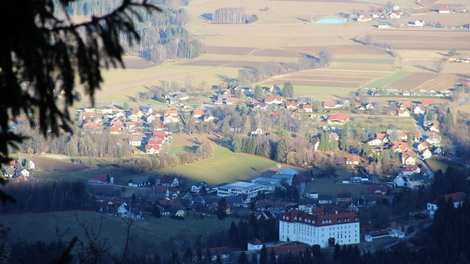 Mountain Biking Bad Schwanberg-St. Anna-Wirtbartl-Tour - Touren-Impression #2.3 | © Südsteiermark