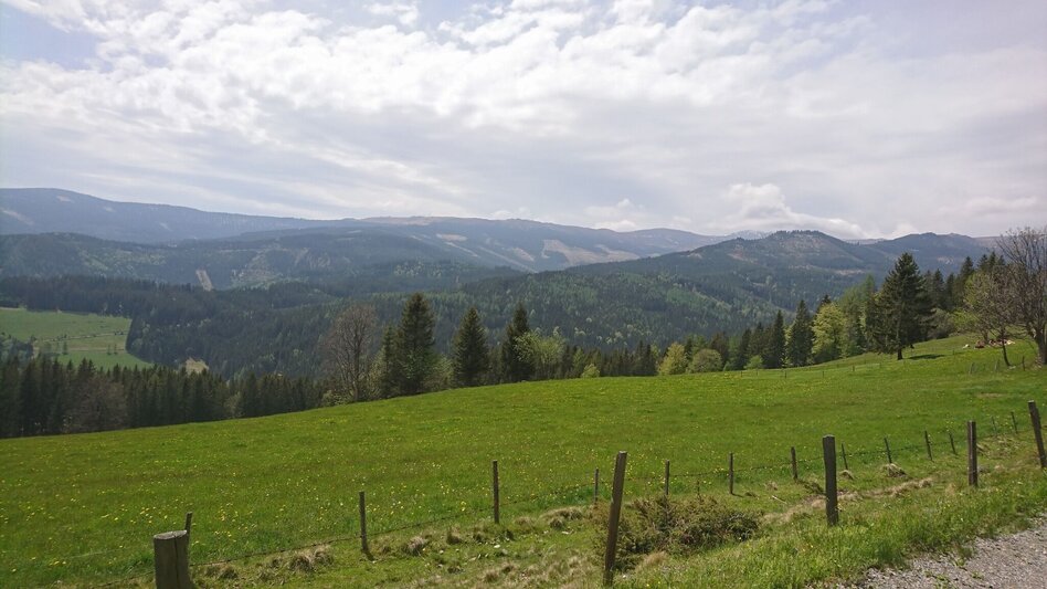 Mountainbike Glashütten (Bad Schwanberg), Nr. 323 - Touren-Impression #2.2 | © Südsteiermark