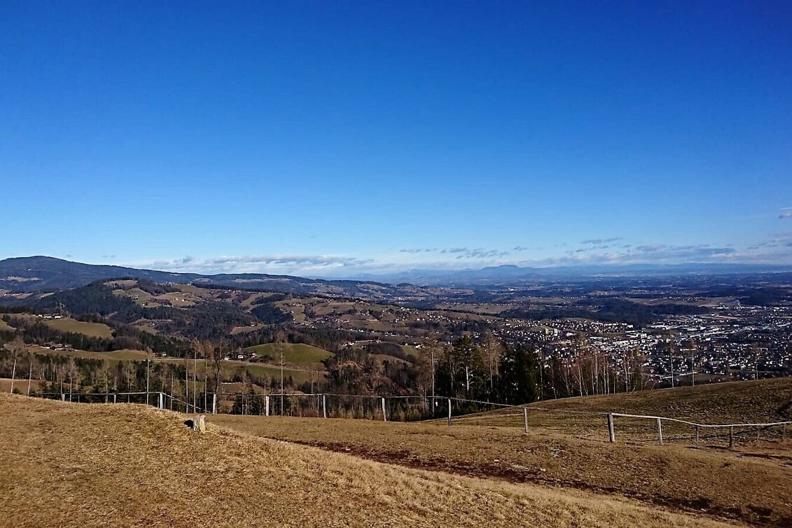Mountainbike Wolfgangi (Bad Schwanberg), Nr.322 - Touren-Impression #1 | © TVB Südsteiermark/Martin Dam