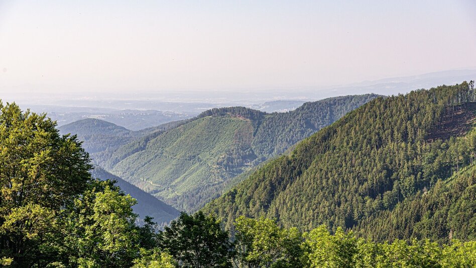 Hiking route Circular hike to the Mühlbacher hut - Touren-Impression #2.2 | © Region Graz