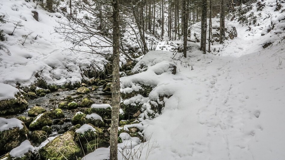 Snowshoe walking Siebensee - Touren-Impression #2.2 | © TV Gesäuse