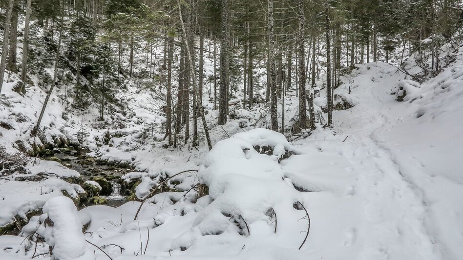 Snowshoe walking Siebensee - Touren-Impression #2.3 | © TV Gesäuse