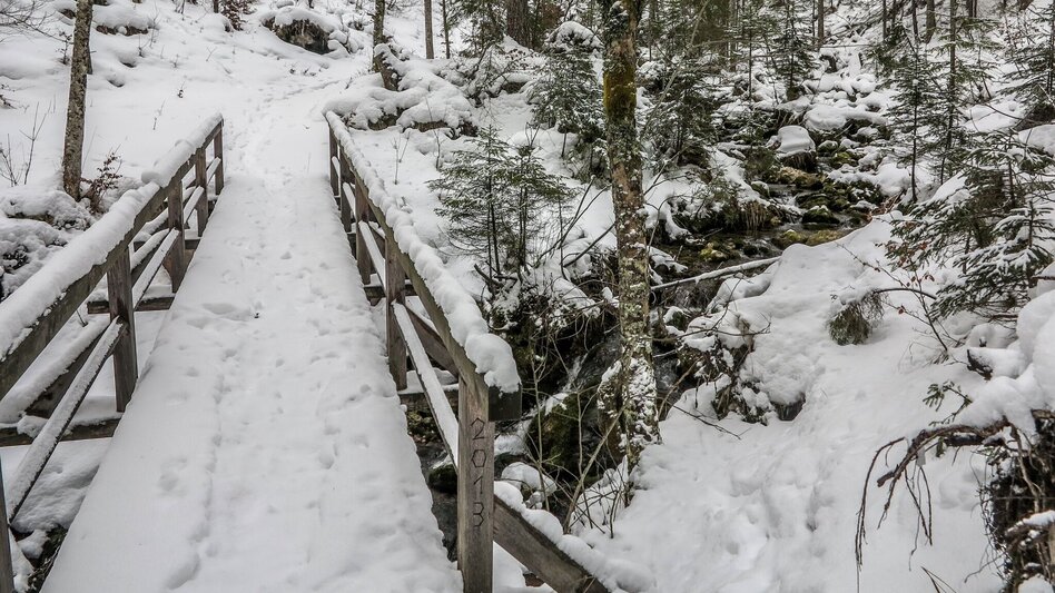 Snowshoe walking Siebensee - Touren-Impression #2.4 | © TV Gesäuse