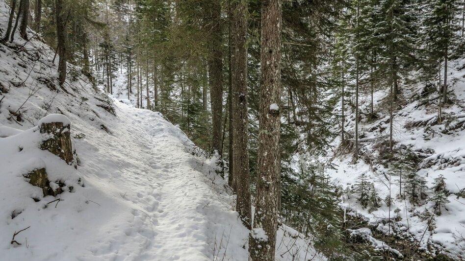 Snowshoe walking Siebensee - Touren-Impression #2.5 | © TV Gesäuse