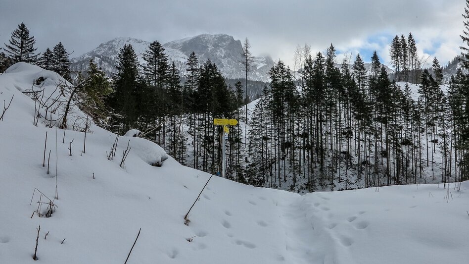 Snowshoe walking Siebensee - Touren-Impression #2.6 | © TV Gesäuse