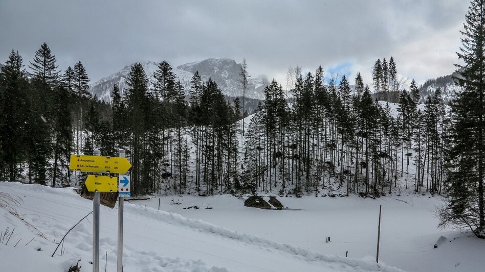 Snowshoe walking Siebensee - Touren-Impression #2.7 | © TV Gesäuse