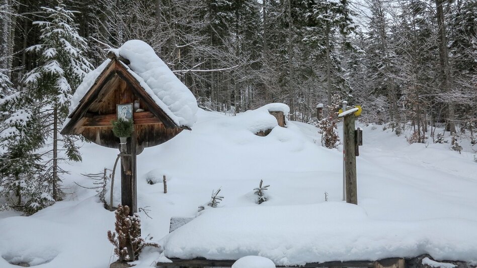 Snowshoe walking Siebensee - Touren-Impression #2.8 | © TV Gesäuse