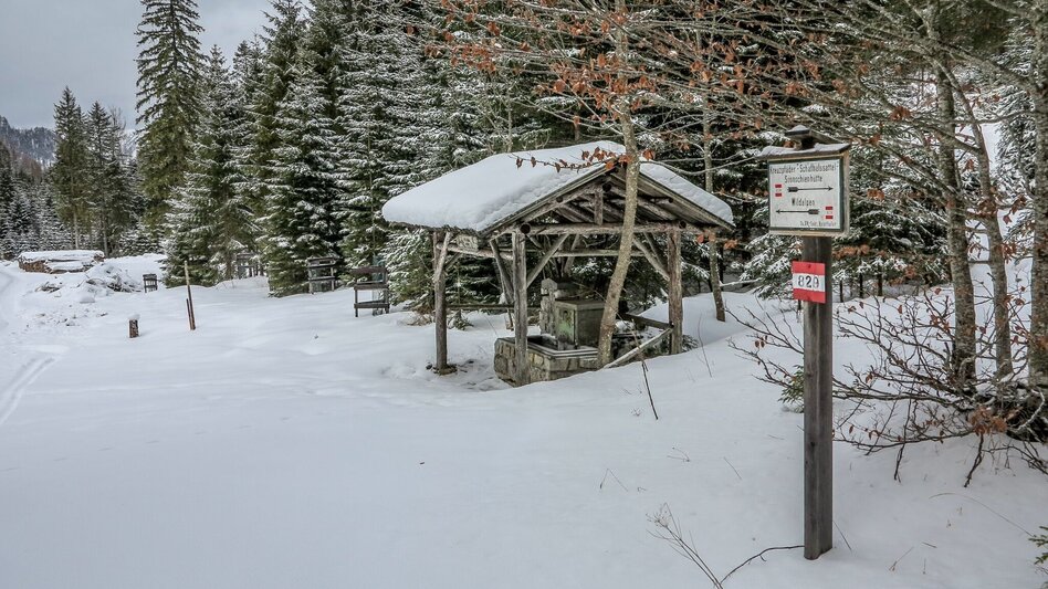 Snowshoe walking Siebensee - Touren-Impression #2.9 | © TV Gesäuse