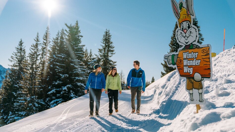 Winterwandern Hopsi's Winterwanderweg - Touren-Impression #2.1 | © Planai-Hochwurzen-Bahnen