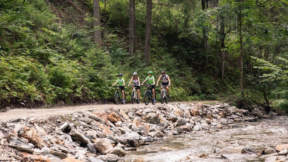 Mountain Biking MTB-Tour: Freßnitzgraben - Geburtshaus Rosegger - Touren-Impression #2.1 | © REV