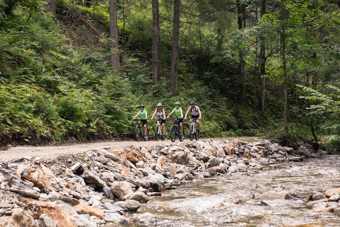 Mountain Biking MTB-Tour: Freßnitzgraben - Geburtshaus Rosegger - Touren-Impression #1 | © REV