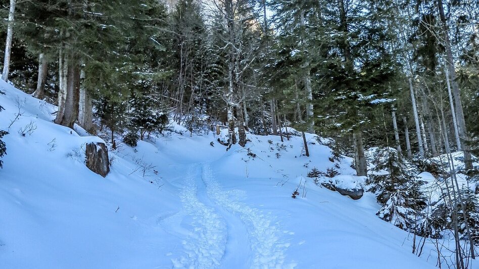Ski Touring Gr. Meiereck - Touren-Impression #2.1 | © TV Gesäuse