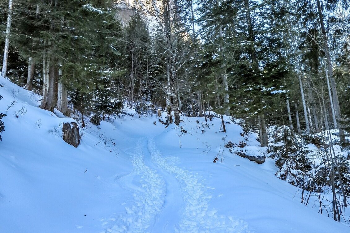 Ski Touring Gr. Meiereck - Touren-Impression #1 | © TV Gesäuse