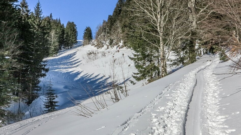 Ski Touring Gr. Meiereck - Touren-Impression #2.2 | © TV Gesäuse