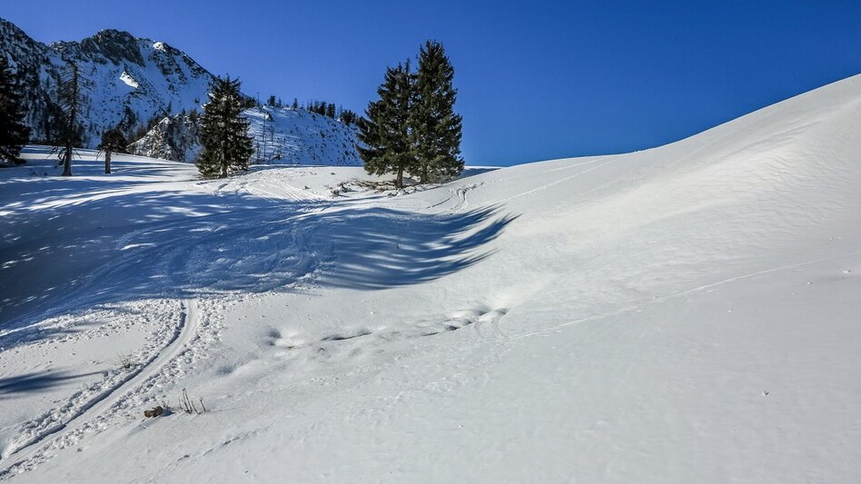 Ski Touring Gr. Meiereck - Touren-Impression #2.3 | © TV Gesäuse
