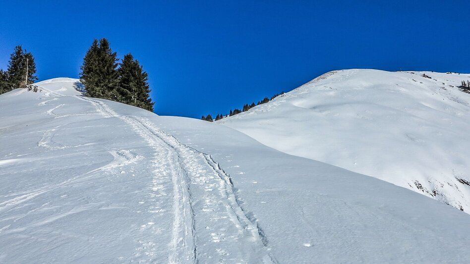 Ski Touring Gr. Meiereck - Touren-Impression #2.5 | © TV Gesäuse