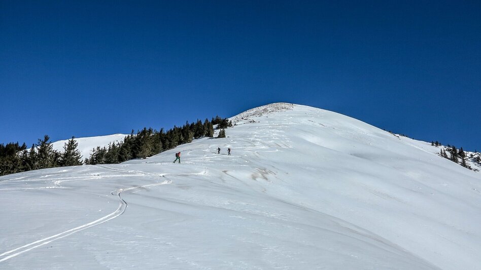 Ski Touring Gr. Meiereck - Touren-Impression #2.6 | © TV Gesäuse