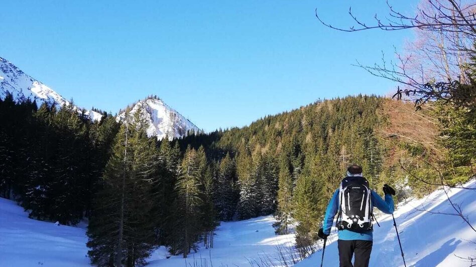 Ski Touring Gr. Meiereck - Touren-Impression #2.9 | © TV Gesäuse