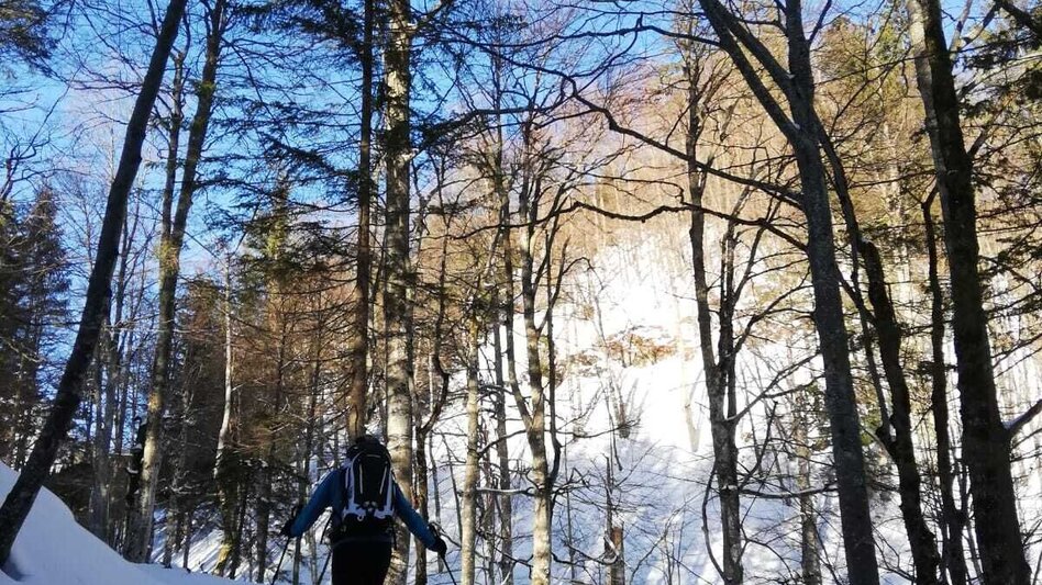 Ski Touring Gr. Meiereck - Touren-Impression #2.10 | © TV Gesäuse