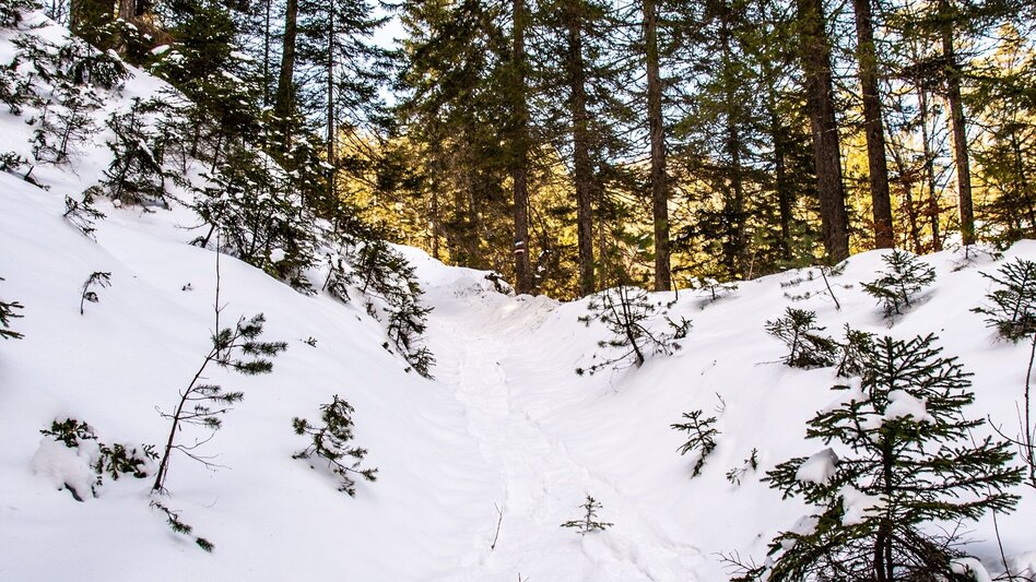 Schneeschuh Lerchgraben Wildalpen - Touren-Impression #2.3 | © TV Gesäuse