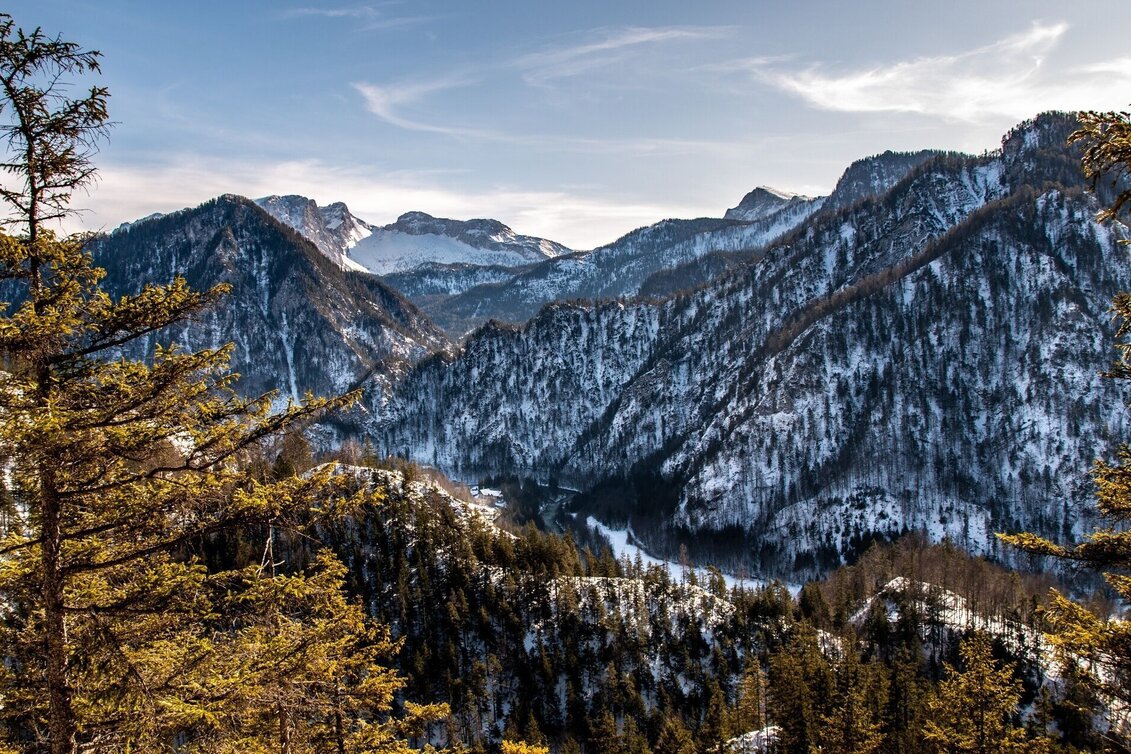 Schneeschuh Lerchgraben Wildalpen - Touren-Impression #1 | © TV Gesäuse