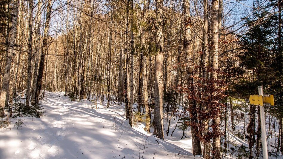 Schneeschuh Lerchgraben Wildalpen - Touren-Impression #2.6 | © TV Gesäuse