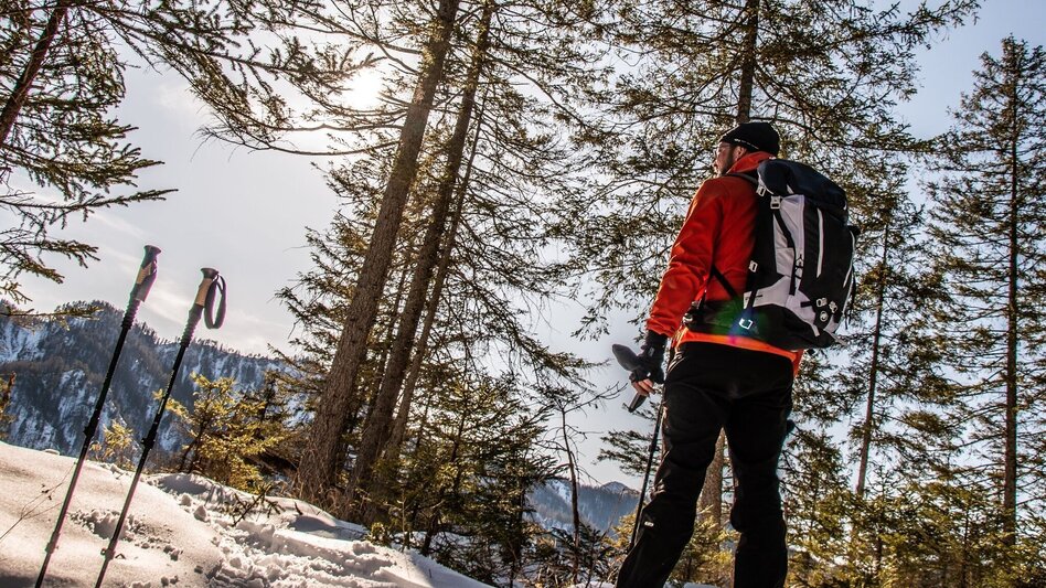 Schneeschuh Lerchgraben Wildalpen - Touren-Impression #2.5 | © TV Gesäuse