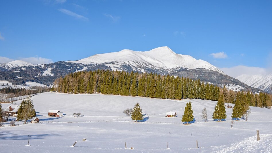 Schneeschuh Greim - Touren-Impression #2.1 | © Tourismusverband Murau