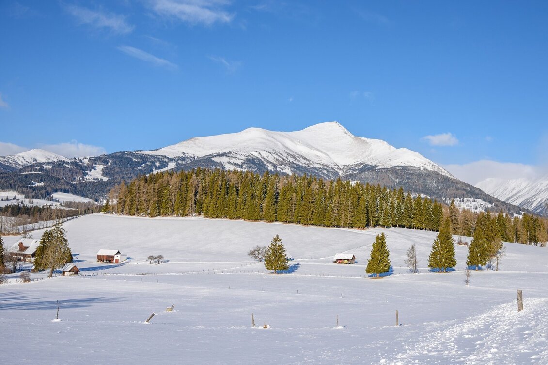 Schneeschuh Greim - Touren-Impression #1 | © Tourismusverband Murau