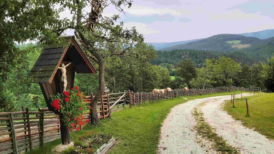 Hiking route Hike to the Katharinenstein, St. Kathrein am Hauenstein - Touren-Impression #2.1 | © Oststeiermark Tourismus