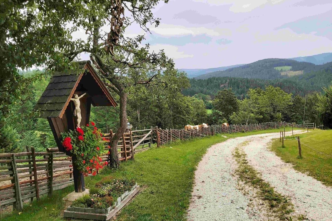 Hiking route Hike to the Katharinenstein, St. Kathrein am Hauenstein - Touren-Impression #1 | © Oststeiermark Tourismus