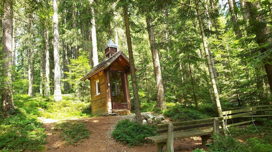 Hiking route Hike to the Katharinenstein, St. Kathrein am Hauenstein - Touren-Impression #2.12 | © Oststeiermark Tourismus