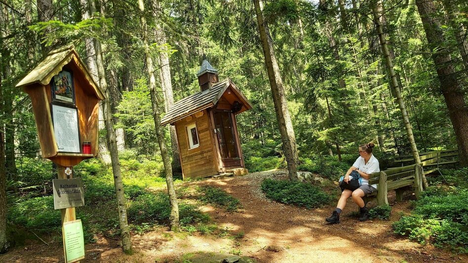 Hiking route Hike to the Katharinenstein, St. Kathrein am Hauenstein - Touren-Impression #2.10 | © Oststeiermark Tourismus