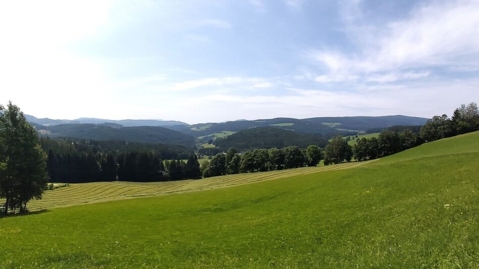 Hiking route Hike to the Katharinenstein, St. Kathrein am Hauenstein - Touren-Impression #2.5 | © Oststeiermark Tourismus