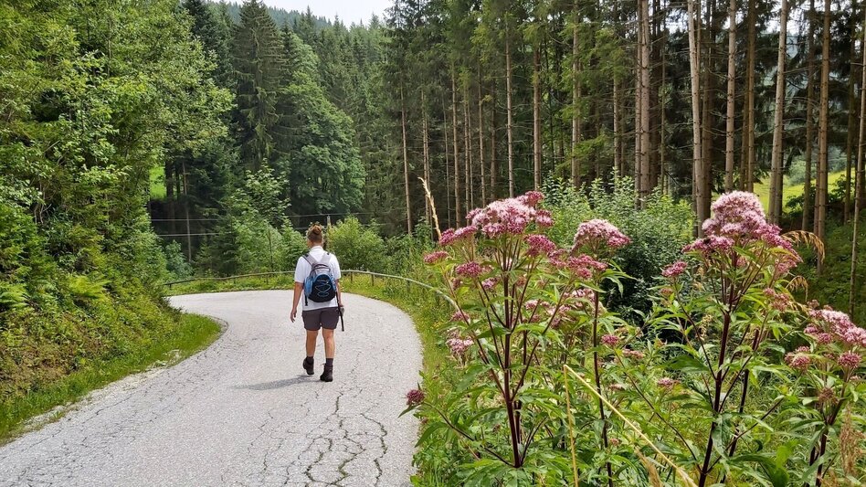 Hiking route Hike to the Katharinenstein, St. Kathrein am Hauenstein - Touren-Impression #2.15 | © Oststeiermark Tourismus