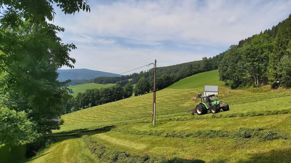 Hiking route Hike to the Katharinenstein, St. Kathrein am Hauenstein - Touren-Impression #2.6 | © Oststeiermark Tourismus