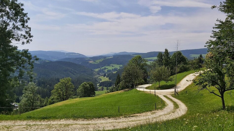 Hiking route Hike to the Katharinenstein, St. Kathrein am Hauenstein - Touren-Impression #2.9 | © Oststeiermark Tourismus