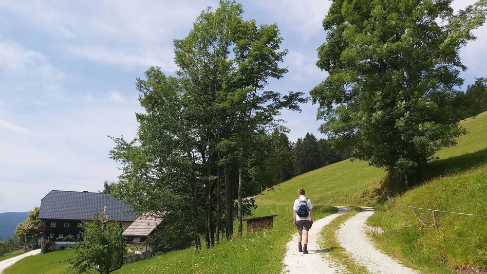 Hiking route Hike to the Katharinenstein, St. Kathrein am Hauenstein - Touren-Impression #2.8 | © Oststeiermark Tourismus