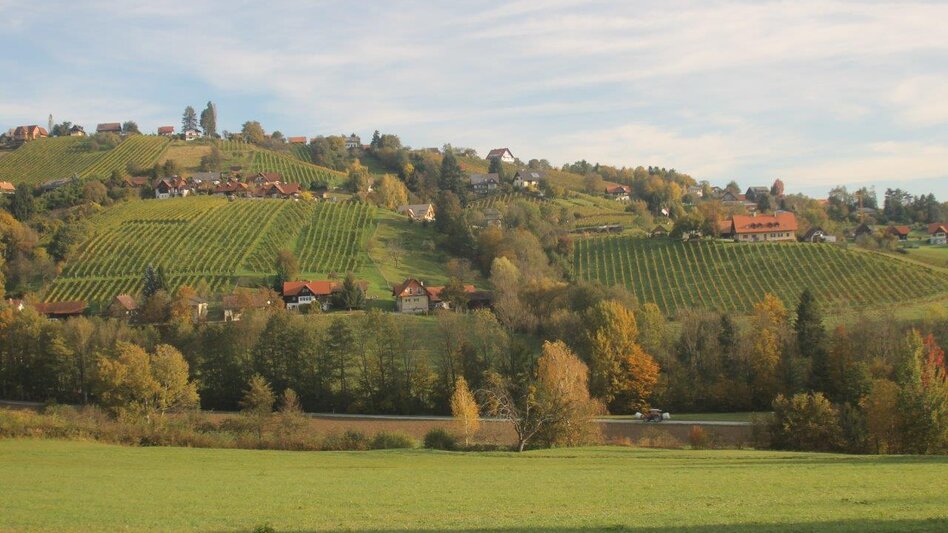 Hiking route Genuss-Schilchern Family Circuit - Touren-Impression #2.1 | © TVB Südsteiermark/Michael Lang