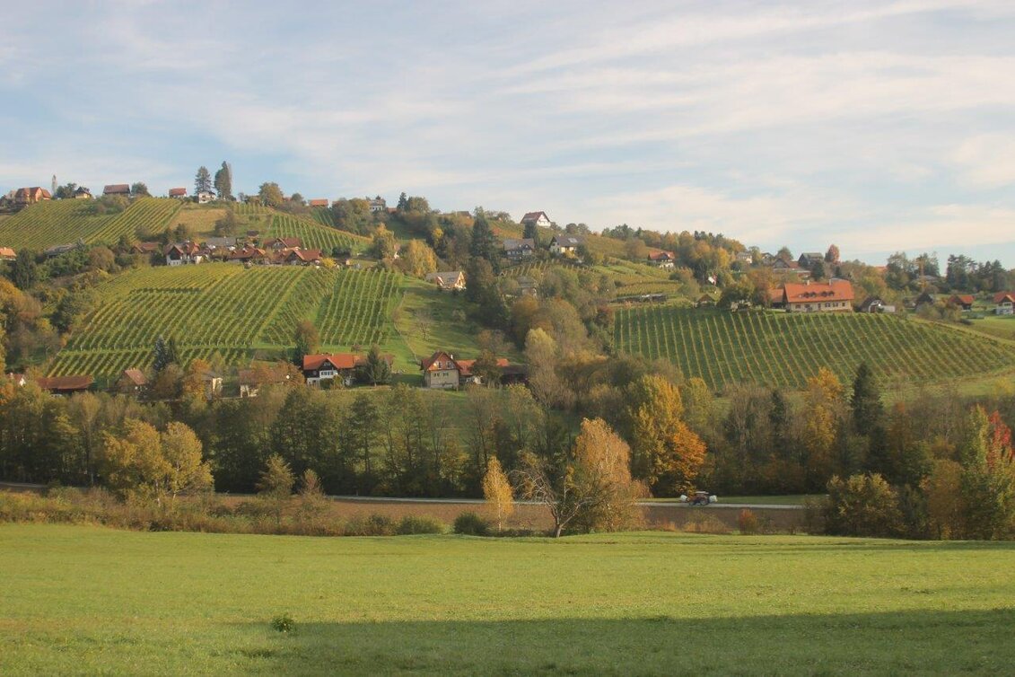 Hiking route Genuss-Schilchern Family Circuit - Touren-Impression #1 | © TVB Südsteiermark/Michael Lang