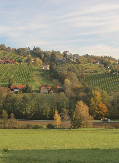 Ausblick ins Schilcherland, entlang des Weges mit Erholungswert | © TVB Südsteiermark/Michael Lang | Michael Lang | © TVB Südsteiermark/Michael Lang