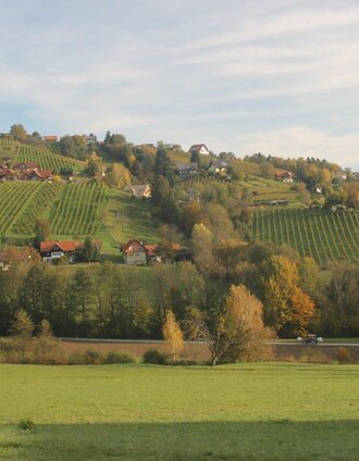 Ausblick ins Schilcherland, entlang des Weges mit Erholungswert | Michael Lang | © TVB Südsteiermark/Michael Lang