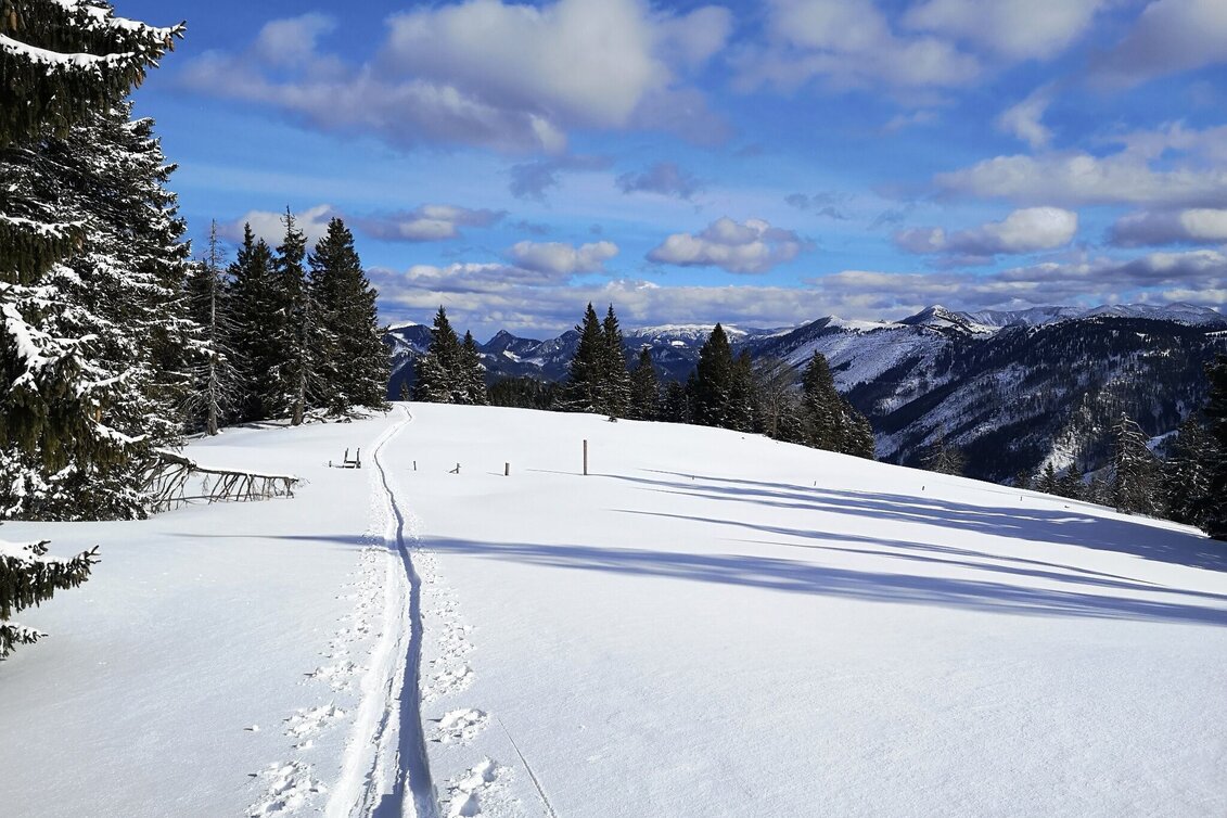 Ski Touring Skitour auf die Wildalpe - Touren-Impression #1 | © TV Hochsteiermark